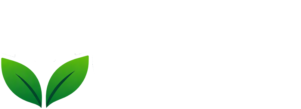 Cara